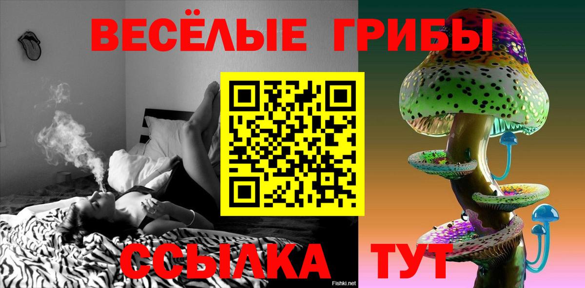Галлюциногенные грибы мицелий Братск